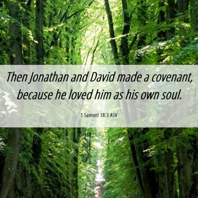 Picture 06 - 1 Samuel 18:3 ASV - Then Jonathan and David made a covenant, because - Bible Verse Picture
