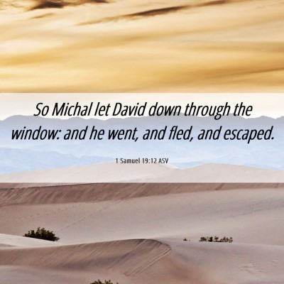 Picture 06 - 1 Samuel 19:12 ASV - So Michal let David down through the window: and - Bible Verse Picture