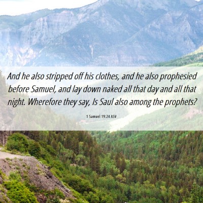 Picture 06 - 1 Samuel 19:24 ASV - And he also stripped off his clothes, and he also - Bible Verse Picture