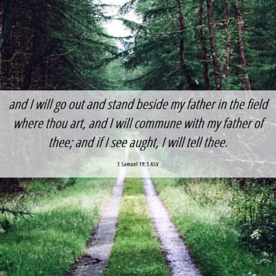 Picture 06 - 1 Samuel 19:3 ASV - and I will go out and stand beside my father in - Bible Verse Picture