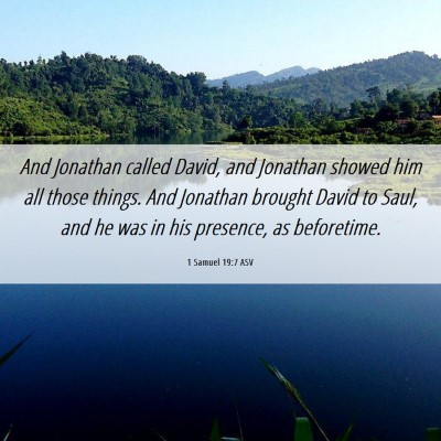 Picture 06 - 1 Samuel 19:7 ASV - And Jonathan called David, and Jonathan showed - Bible Verse Picture