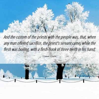 Picture 06 - 1 Samuel 2:13 ASV - And the custom of the priests with the people - Bible Verse Picture