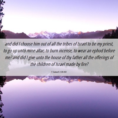 Picture 06 - 1 Samuel 2:28 ASV - and did I choose him out of all the tribes of - Bible Verse Picture