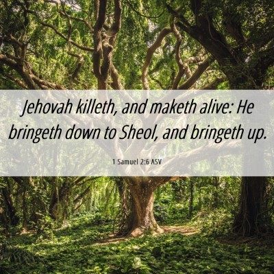 Picture 06 - 1 Samuel 2:6 ASV - Jehovah killeth, and maketh alive: He bringeth - Bible Verse Picture
