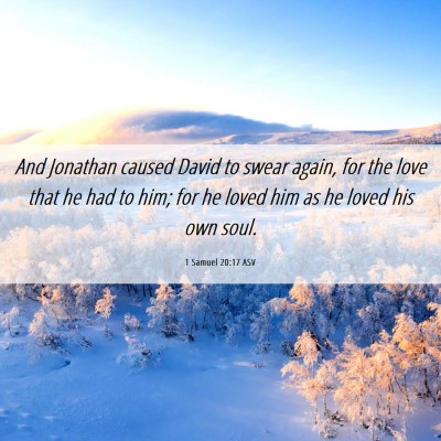 Picture 06 - 1 Samuel 20:17 ASV - And Jonathan caused David to swear again, for the - Bible Verse Picture