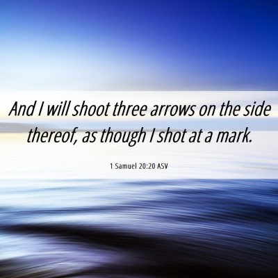 Picture 06 - 1 Samuel 20:20 ASV - And I will shoot three arrows on the side - Bible Verse Picture