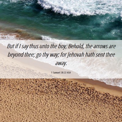 Picture 06 - 1 Samuel 20:22 ASV - But if I say thus unto the boy, Behold, the - Bible Verse Picture