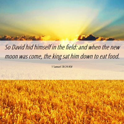 Picture 06 - 1 Samuel 20:24 ASV - So David hid himself in the field: and when the - Bible Verse Picture