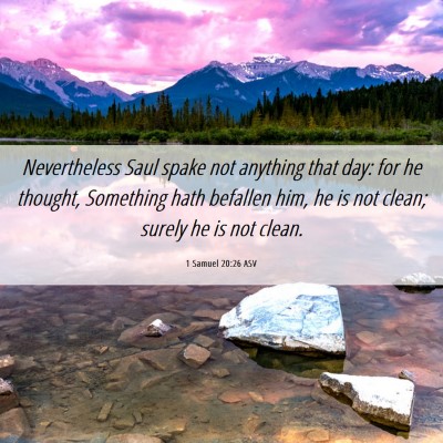 Picture 06 - 1 Samuel 20:26 ASV - Nevertheless Saul spake not anything that day: - Bible Verse Picture