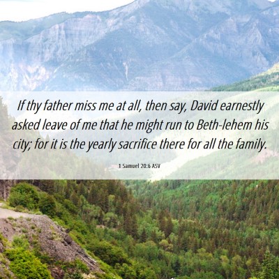 Picture 06 - 1 Samuel 20:6 ASV - If thy father miss me at all, then say, David - Bible Verse Picture