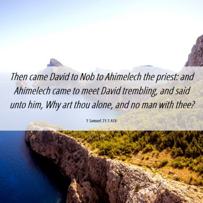 Picture 06 - 1 Samuel 21:1 ASV - Then came David to Nob to Ahimelech the priest: - Bible Verse Picture