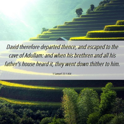 Picture 06 - 1 Samuel 22:1 ASV - David therefore departed thence, and escaped to - Bible Verse Picture