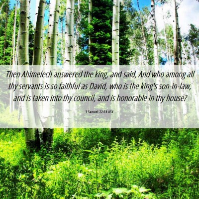 Picture 06 - 1 Samuel 22:14 ASV - Then Ahimelech answered the king, and said, And - Bible Verse Picture