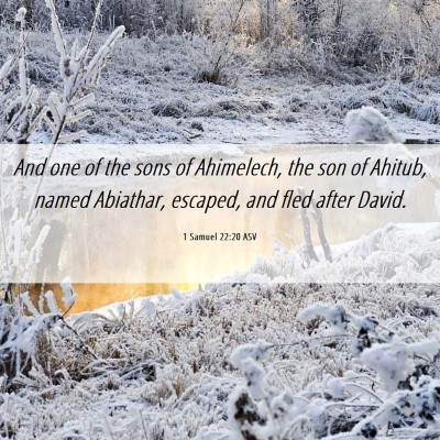 Picture 06 - 1 Samuel 22:20 ASV - And one of the sons of Ahimelech, the son of - Bible Verse Picture