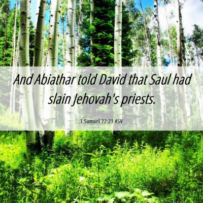 Picture 06 - 1 Samuel 22:21 ASV - And Abiathar told David that Saul had slain - Bible Verse Picture