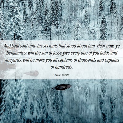 Picture 06 - 1 Samuel 22:7 ASV - And Saul said unto his servants that stood about - Bible Verse Picture