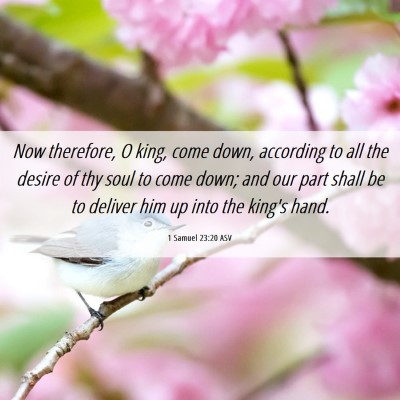 Picture 06 - 1 Samuel 23:20 ASV - Now therefore, O king, come down, according to - Bible Verse Picture