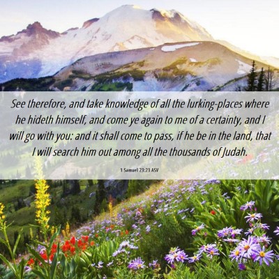 Picture 06 - 1 Samuel 23:23 ASV - See therefore, and take knowledge of all the - Bible Verse Picture