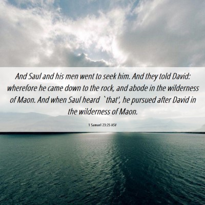 Picture 06 - 1 Samuel 23:25 ASV - And Saul and his men went to seek him. And they - Bible Verse Picture