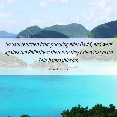 Picture 06 - 1 Samuel 23:28 ASV - So Saul returned from pursuing after David, and - Bible Verse Picture