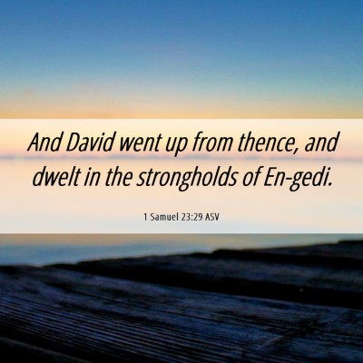 Picture 06 - 1 Samuel 23:29 ASV - And David went up from thence, and dwelt in the - Bible Verse Picture