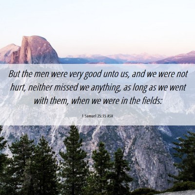 Picture 06 - 1 Samuel 25:15 ASV - But the men were very good unto us, and we were - Bible Verse Picture