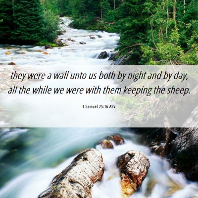 Picture 06 - 1 Samuel 25:16 ASV - they were a wall unto us both by night and by - Bible Verse Picture