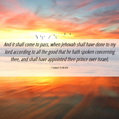 Picture 06 - 1 Samuel 25:30 ASV - And it shall come to pass, when Jehovah shall - Bible Verse Picture