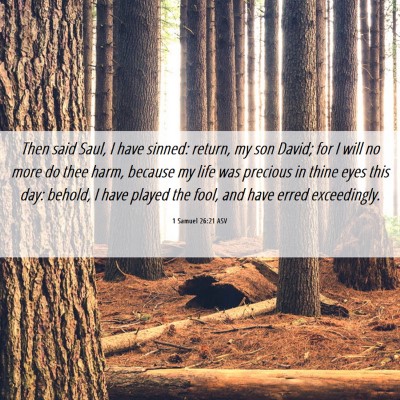 Picture 06 - 1 Samuel 26:21 ASV - Then said Saul, I have sinned: return, my son - Bible Verse Picture