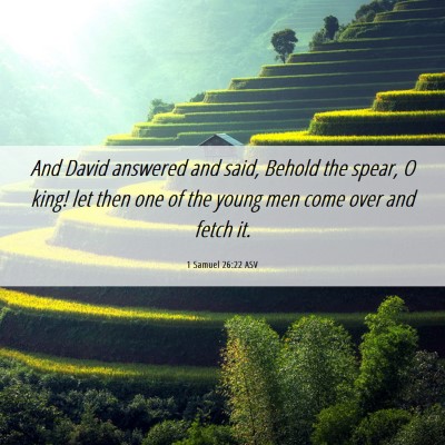 Picture 06 - 1 Samuel 26:22 ASV - And David answered and said, Behold the spear, O - Bible Verse Picture