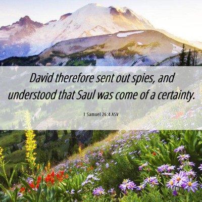 Picture 06 - 1 Samuel 26:4 ASV - David therefore sent out spies, and understood - Bible Verse Picture