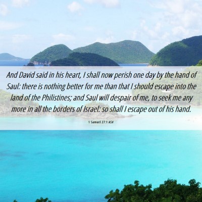 Picture 06 - 1 Samuel 27:1 ASV - And David said in his heart, I shall now perish - Bible Verse Picture