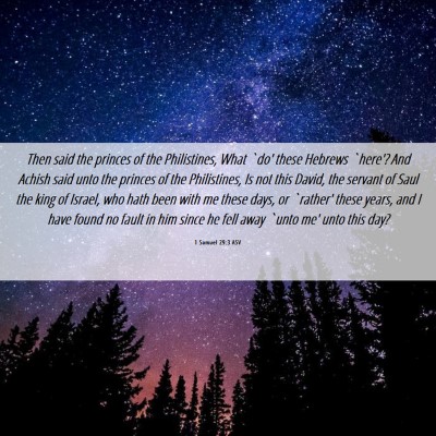 Picture 06 - 1 Samuel 29:3 ASV - Then said the princes of the Philistines, What - Bible Verse Picture