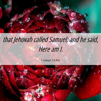 Picture 06 - 1 Samuel 3:4 ASV - that Jehovah called Samuel; and he said, Here am - Bible Verse Picture
