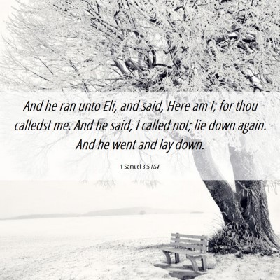 Picture 06 - 1 Samuel 3:5 ASV - And he ran unto Eli, and said, Here am I; for - Bible Verse Picture