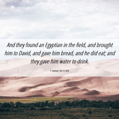 Picture 06 - 1 Samuel 30:11 ASV - And they found an Egyptian in the field, and - Bible Verse Picture