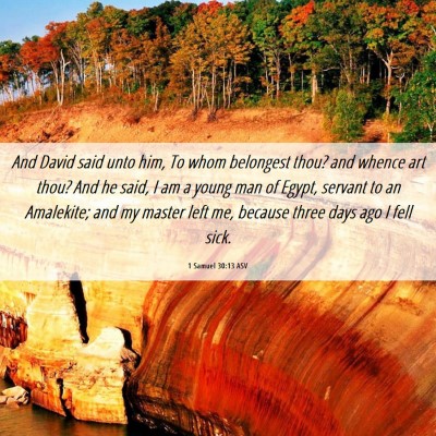 Picture 06 - 1 Samuel 30:13 ASV - And David said unto him, To whom belongest thou? - Bible Verse Picture