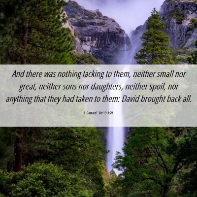 Picture 06 - 1 Samuel 30:19 ASV - And there was nothing lacking to them, neither - Bible Verse Picture