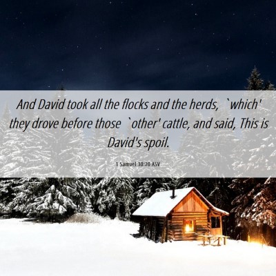 Picture 06 - 1 Samuel 30:20 ASV - And David took all the flocks and the herds, - Bible Verse Picture