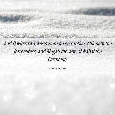 Picture 06 - 1 Samuel 30:5 ASV - And David's two wives were taken captive, Ahinoam - Bible Verse Picture