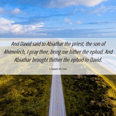 Picture 06 - 1 Samuel 30:7 ASV - And David said to Abiathar the priest, the son of - Bible Verse Picture
