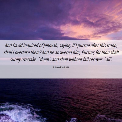 Picture 06 - 1 Samuel 30:8 ASV - And David inquired of Jehovah, saying, If I - Bible Verse Picture