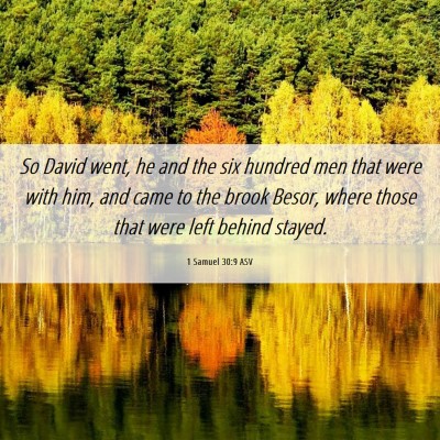Picture 06 - 1 Samuel 30:9 ASV - So David went, he and the six hundred men that - Bible Verse Picture