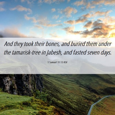 Picture 06 - 1 Samuel 31:13 ASV - And they took their bones, and buried them under - Bible Verse Picture