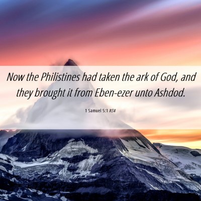 Picture 06 - 1 Samuel 5:1 ASV - Now the Philistines had taken the ark of God, and - Bible Verse Picture