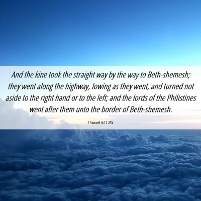 Picture 06 - 1 Samuel 6:12 ASV - And the kine took the straight way by the way to - Bible Verse Picture
