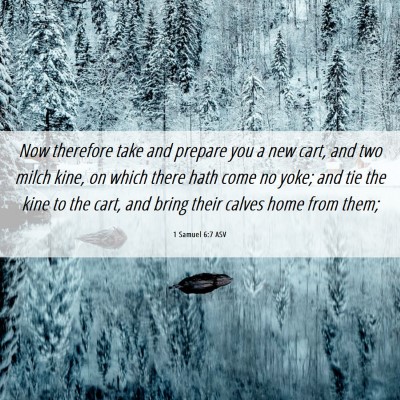 Picture 06 - 1 Samuel 6:7 ASV - Now therefore take and prepare you a new cart, - Bible Verse Picture