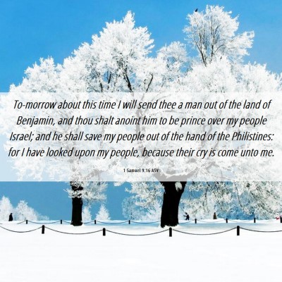 Picture 06 - 1 Samuel 9:16 ASV - To-morrow about this time I will send thee a man - Bible Verse Picture