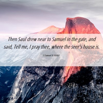 Picture 06 - 1 Samuel 9:18 ASV - Then Saul drew near to Samuel in the gate, and - Bible Verse Picture