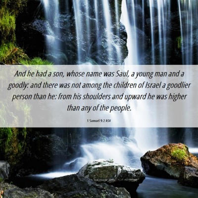 Picture 06 - 1 Samuel 9:2 ASV - And he had a son, whose name was Saul, a young - Bible Verse Picture